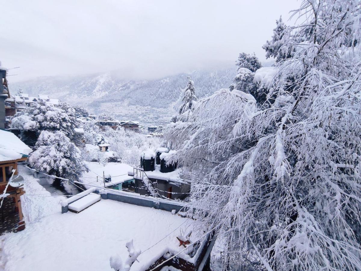 Nature Retreat - Manali (Himachal Pradesh) — Photos 3